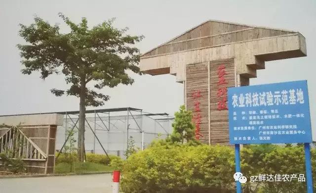 南沙農業生產榴莲视频在线观看APP